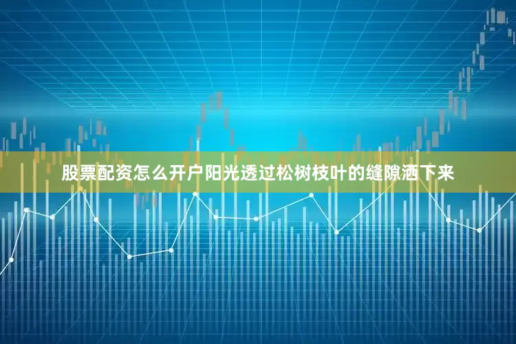 股票配资怎么开户阳光透过松树枝叶的缝隙洒下来