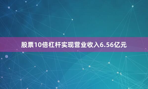 股票10倍杠杆实现营业收入6.56亿元